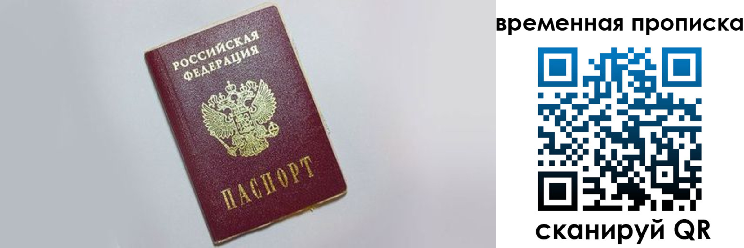 прописка штамп в Зверево